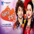 Bangri Nani Sambalpuri New Song