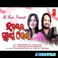 Hrudayara Sthayi Thikana Mp3 Odia Song