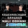 KRUSHNACHUDA RANGARA NALI ODHANI(CIRCUIT MIX) DJ SORRY X DJ RANJIT