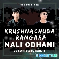 KRUSHNACHUDA RANGARA NALI ODHANI(CIRCUIT MIX) DJ SORRY X DJ RANJIT