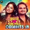 Ama Gaon Mitali