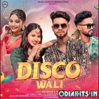 Disco Wali
