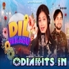 Dil Bekabu