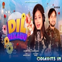 Dil Bekabu