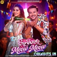 Dil Bilei Meow Meow