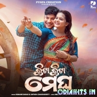 Chhita Chhita Megha